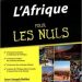 L'Afrique pour les Nuls - Jean-Joseph Boillot et Rahmane Idrissa