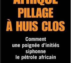 Afrique, pillage à huit clos - Xavier Harel