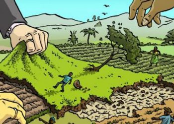 Le land-grabbing ou l'accaparement des terres par les géants