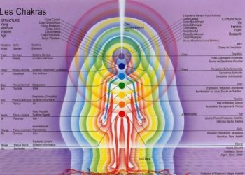 Les sept chakras et les sept corps subtils de l'Homme