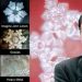 Masaru Emoto