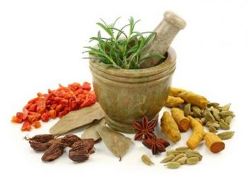 L’ayurveda, l'art de vivre en harmonie avec les lois de la nature