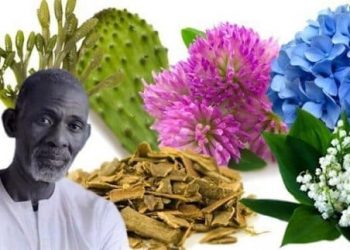 Dr Sebi