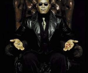 morpheus red or blue pill the matrix 1957140 500 56821