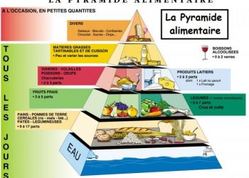 La pyramide alimentaire