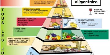 La pyramide alimentaire