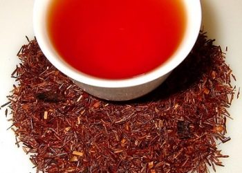 Le rooibos