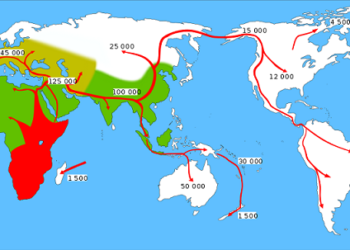 Expansion de l'homo sapiens à partir de l'Afrique