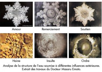 structure eau emoto