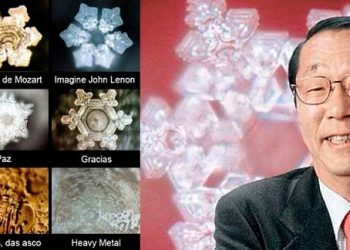 masaru emoto 1400x807