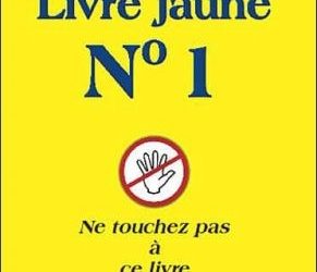 Le livre jaune N°1