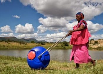 Hippo Water Roller