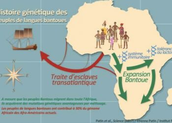 Histoire migratoire des peuples Bantous E. Patin/ Institut Pasteur-CNRS