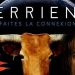 Terriens