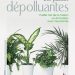 Les plantes dépolluantes