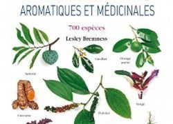 Plantes aromatiques et médicinales – 700 espèces