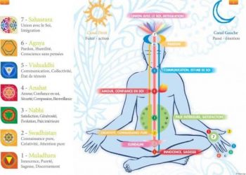 Les chakras