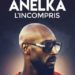 Anelka - L'incompris