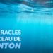 Les bienfaits de l'eau de Quinton